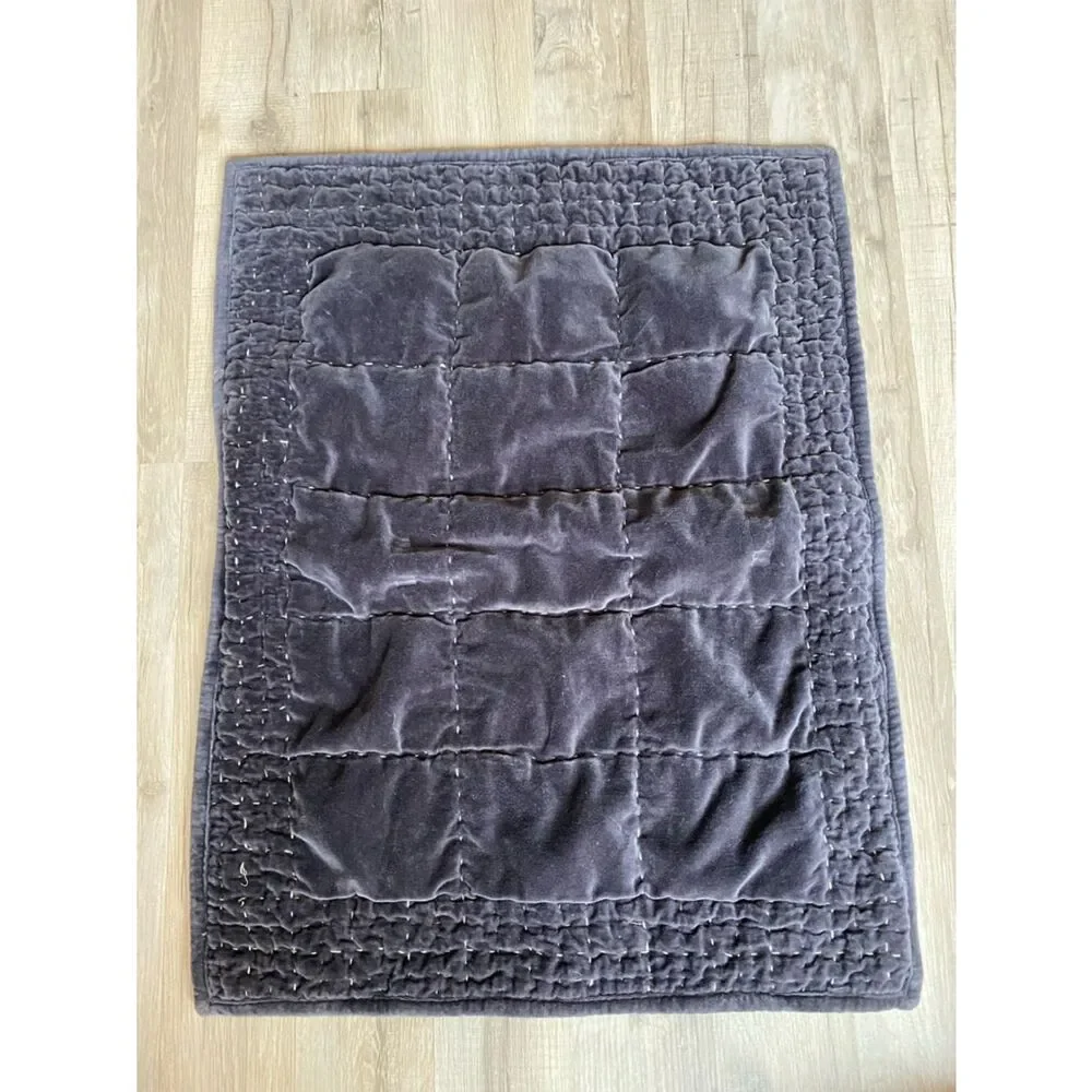 Pottery Barn Velvet quilted Bed Pillow Shams